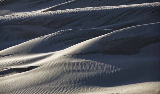 oregon national dunes