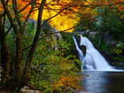 Great Smoky Mountains National Park