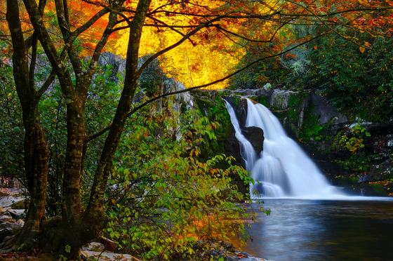 Great Smoky Mountains National Park