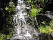 Mt. Rainer National Park