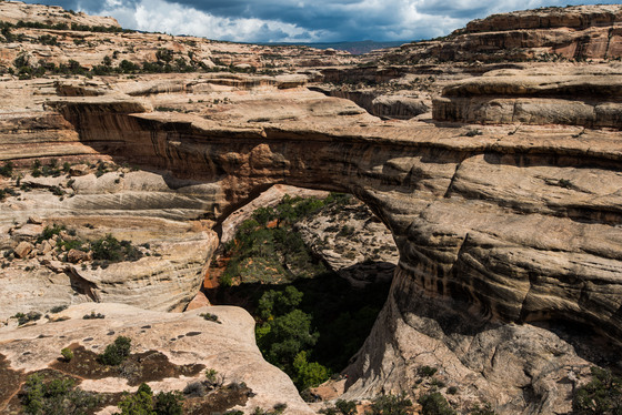 Natural Bridges