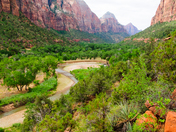 Zion National  Park