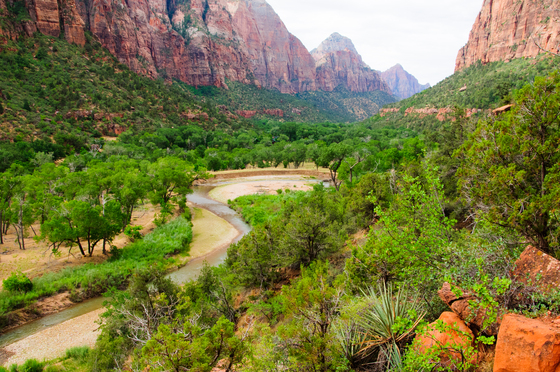 Zion National  Park