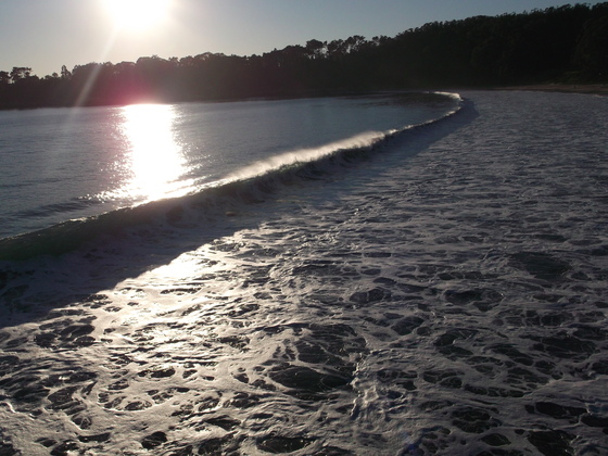 Point Reyes