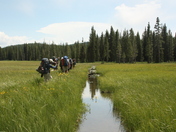 Yellowstone National Park