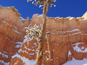 Bryce Canyon National Park
