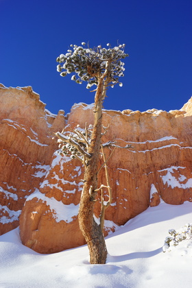 Bryce Canyon National Park