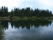 Uncompahgre National Forest