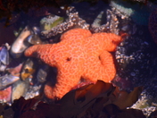 Olympic National Park