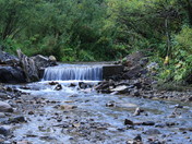 Uncompahgre National Forest