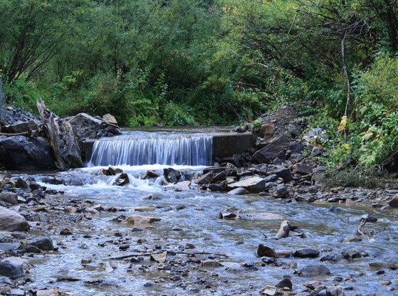 Uncompahgre National Forest