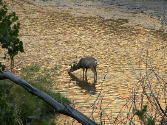 Zion National Park