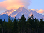 Mt Rainier national park