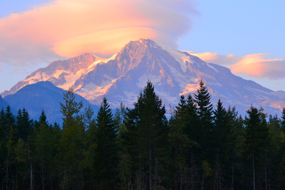 Mt Rainier national park