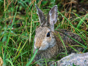 Rocky Mountain National Park