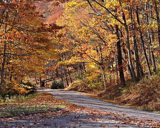 Blue Ridge Parkway