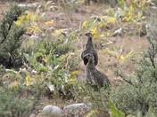 Grand Teton Natinal Park