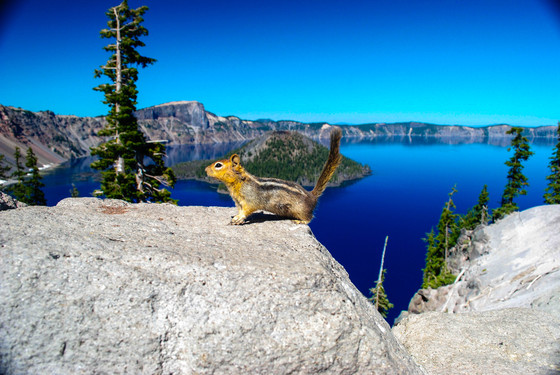 Crater Lake National Park