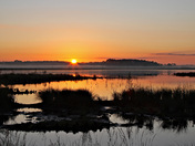 St. Marks National Wildlife Refuge
