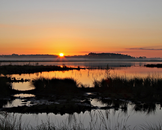 St. Marks National Wildlife Refuge