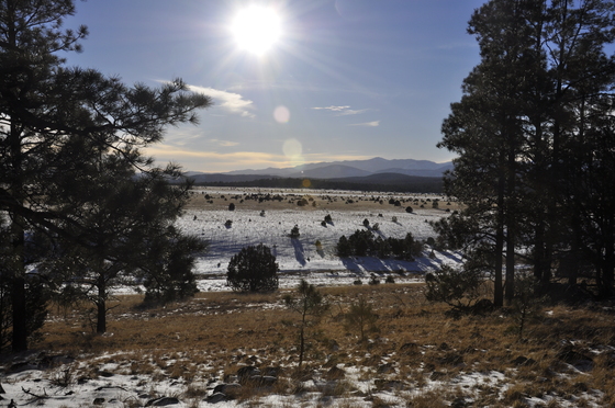 Gila wilderness