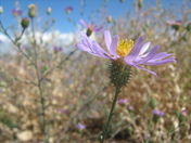Grand Canyon National Park