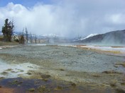 Yellowstone Park