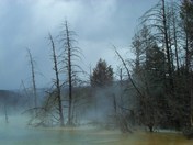 Yellowstone Park