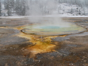 Yellowstone Nat'l Park