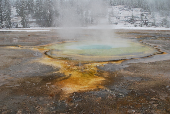Yellowstone Nat'l Park