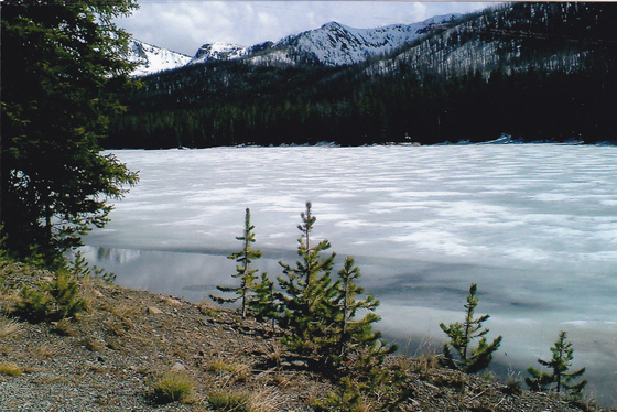 yellowstone national park
