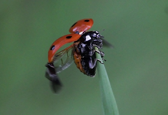 Hagerman National Wildlife Refugre