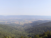 Shenandoah National Park