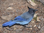 Rocky Mountain National Park