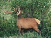 Rocky Mountain National Park