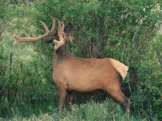 Rocky Mountain National Park