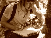 Tahoe National Forest