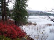 Acadia National Park