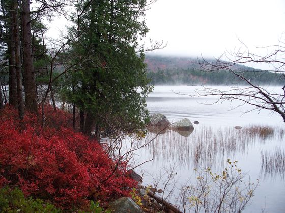 Acadia National Park