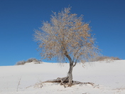 White Sands National Monument