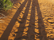 Arches National Park