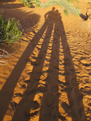 Arches National Park