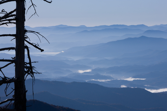 Great Smoky Mountain National Park