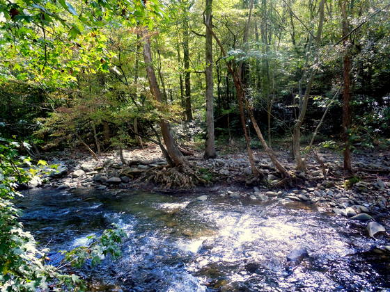 Great Smoky Mountain National Park