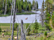 Yellowstone National Park