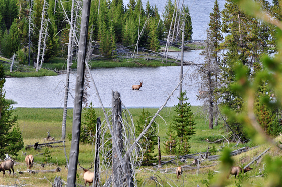 Yellowstone National Park