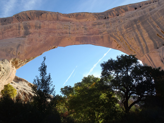 Natural Bridges National Monument