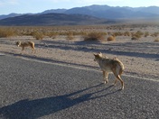 Death Valley National Park