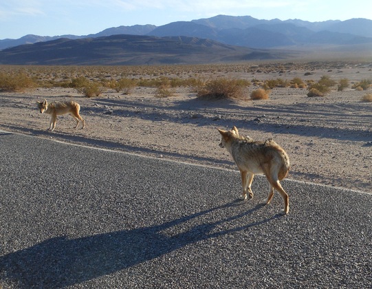Death Valley National Park