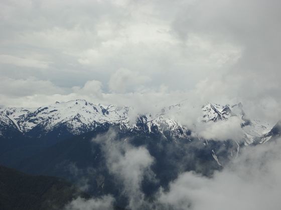 Olympic National Park